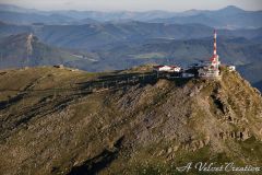 IMG_3896a